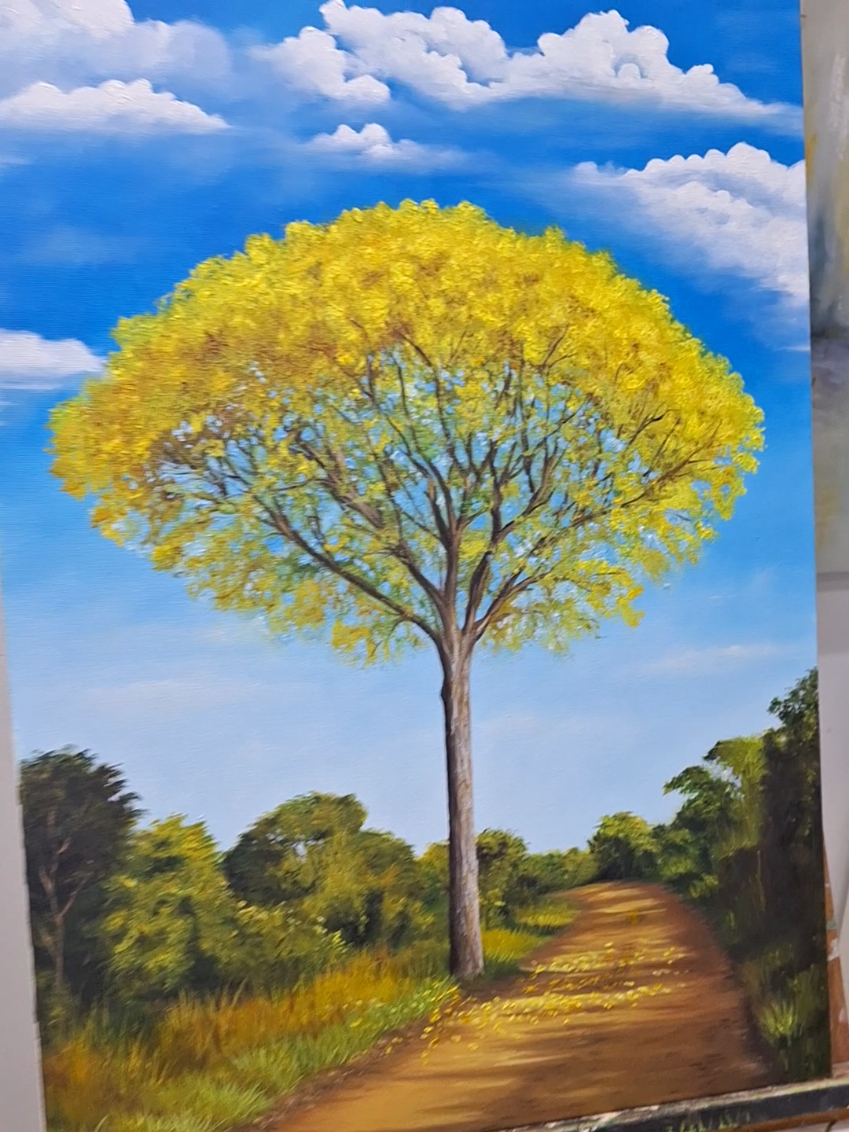 @Andréia Buzon 🎨