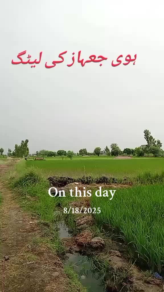 @Qaisar Abbas.804