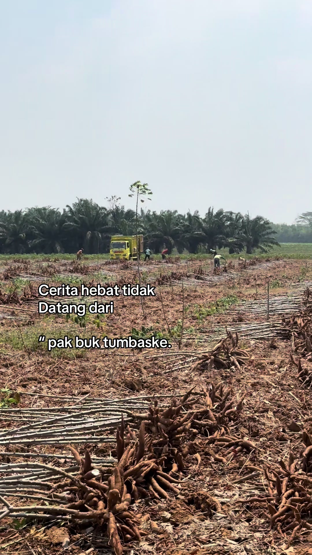 @mas_cil
