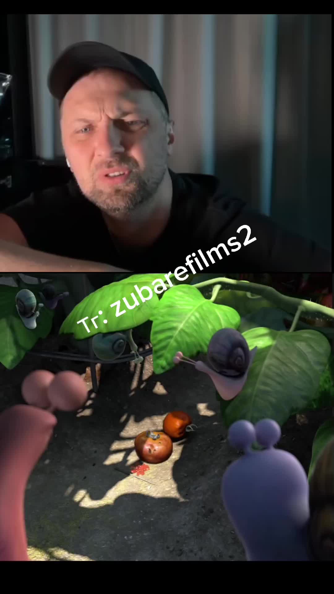 @Zubarefff