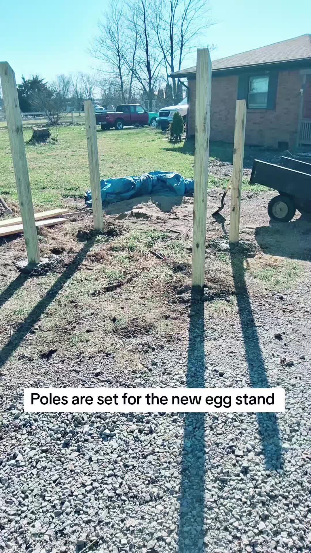 @2nd_Amend_Pasture_Raised_Eggs