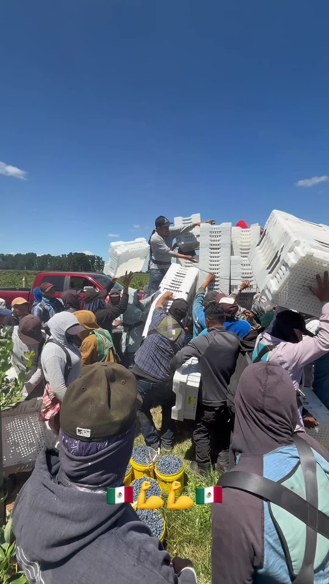 @Puros Trabajadores