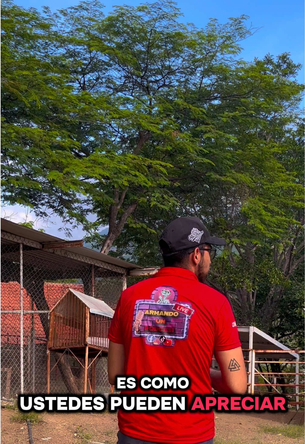 @armando_unpodcast