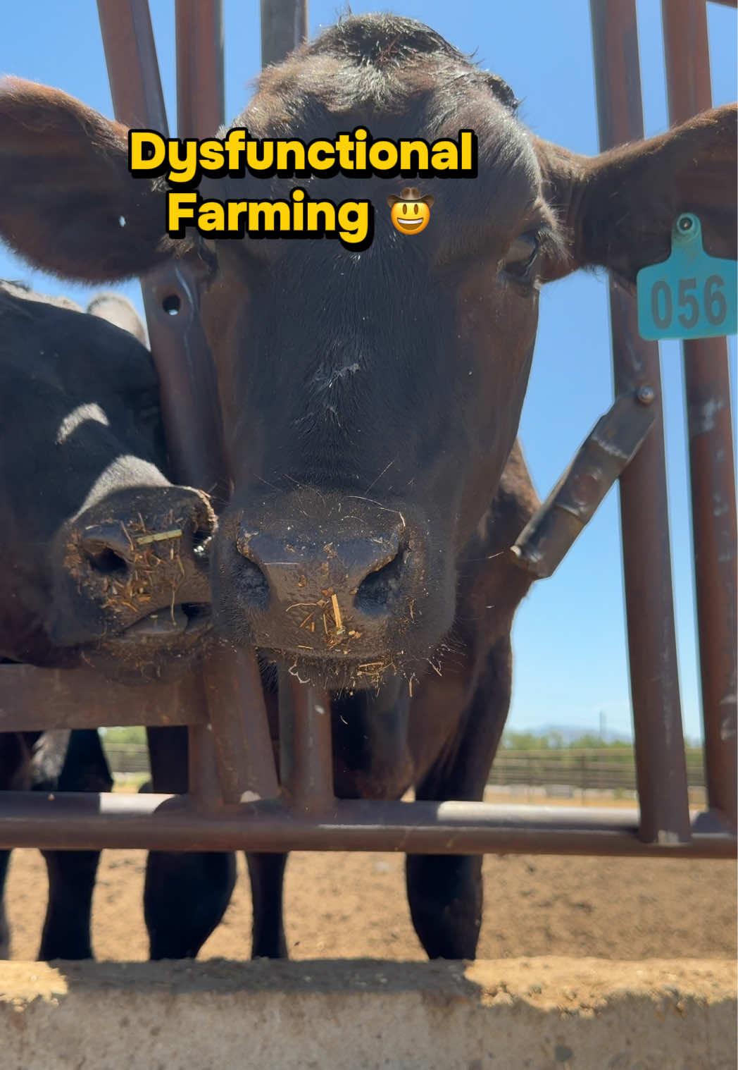 @Skylar Farming