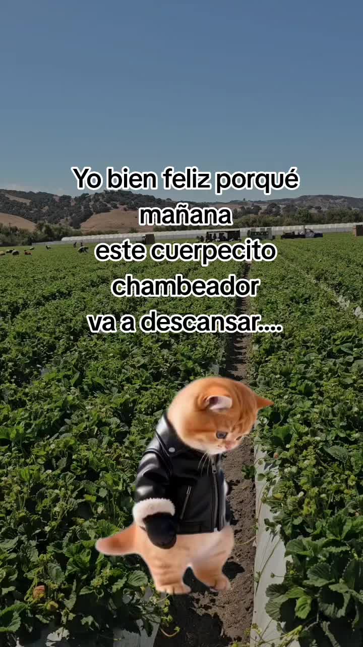 @🇲🇽🐦⬛🪺VASQUEZ🚚🌪💎