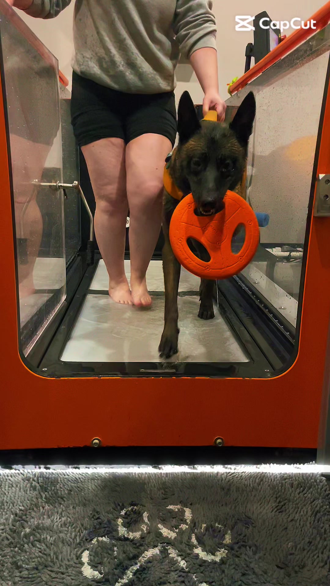 @WaveRyder_k9