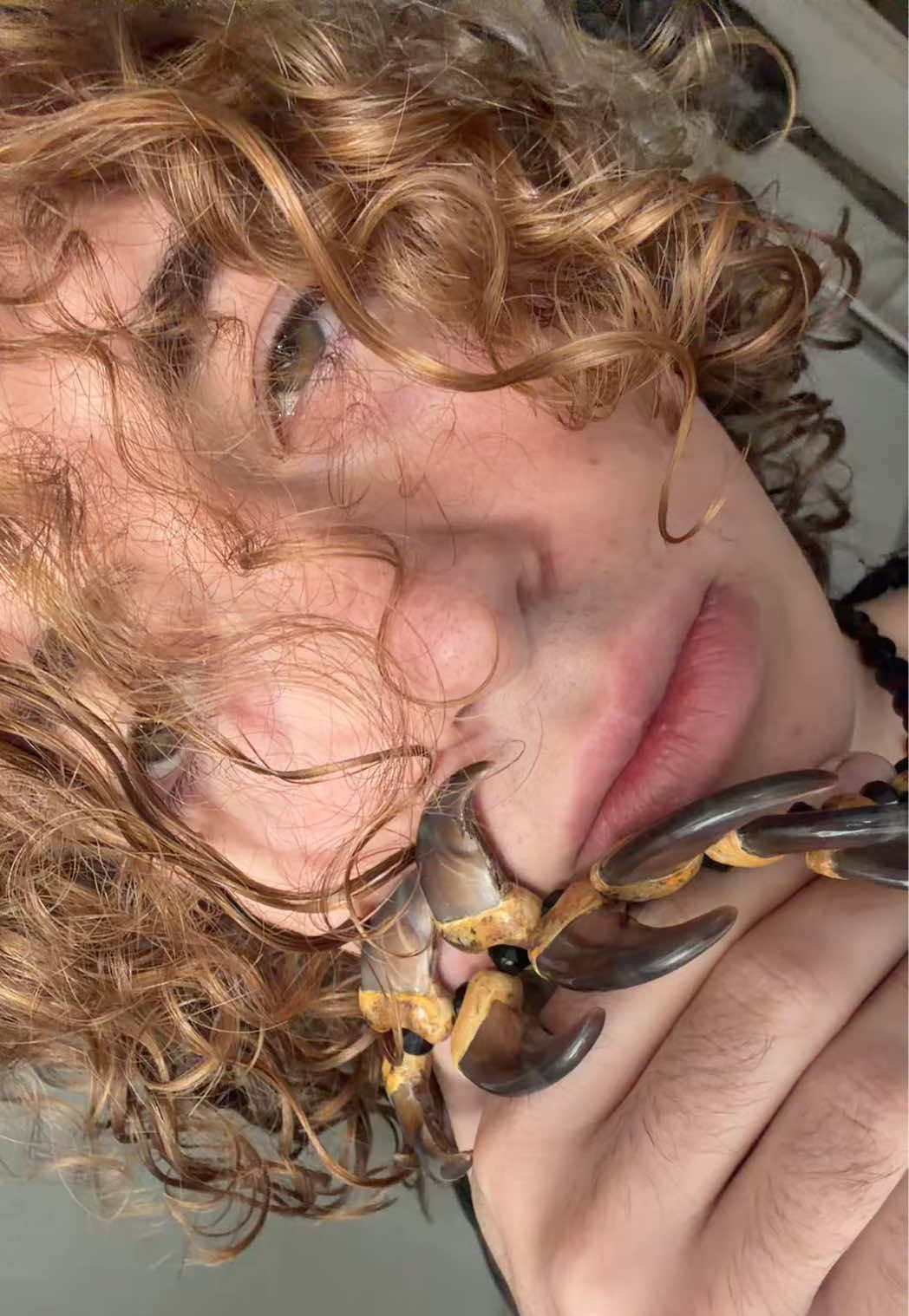 @Trippie Gluck