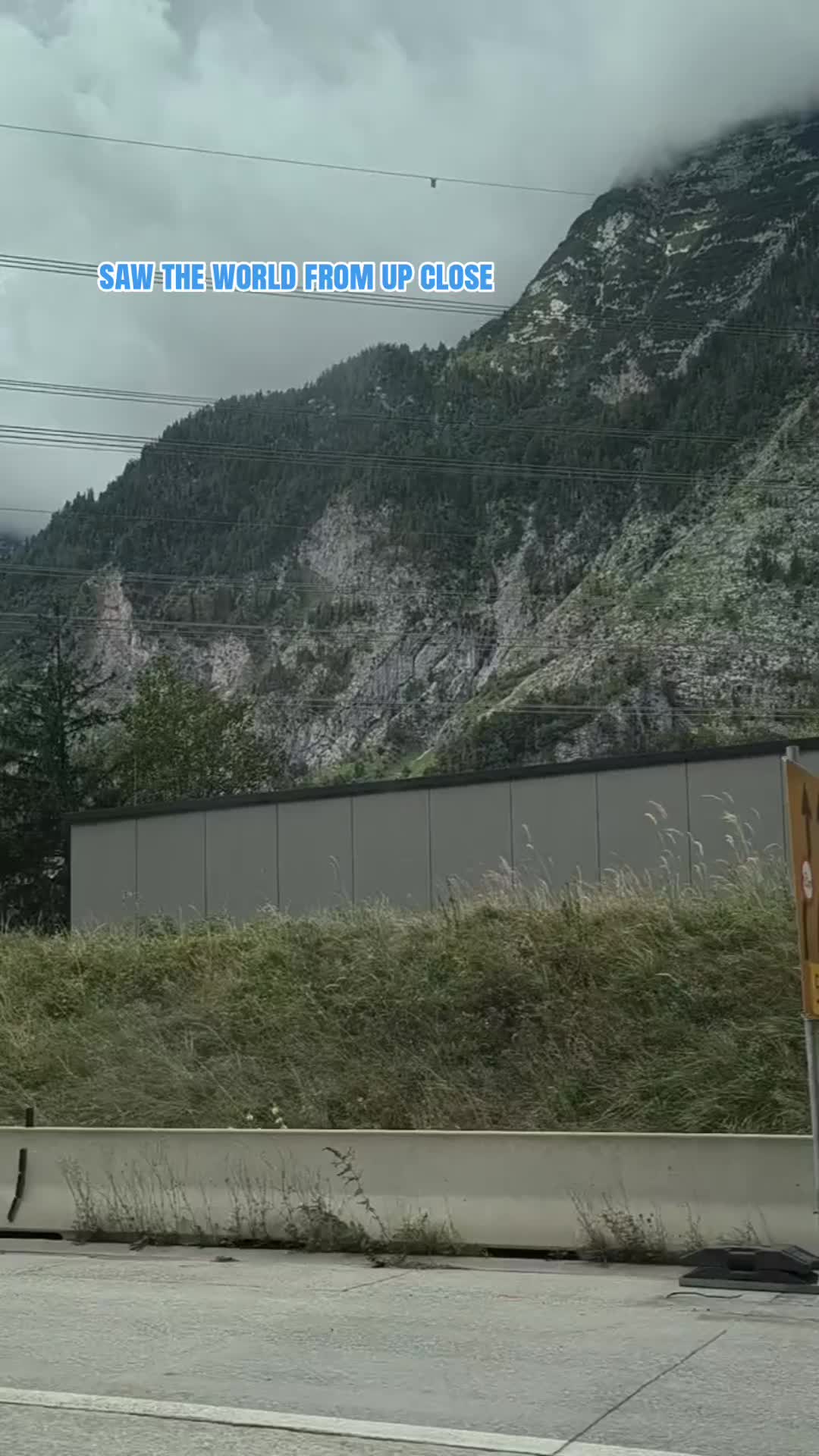 @Bug 🦕