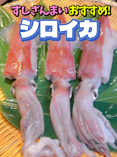 @すしざんまい official