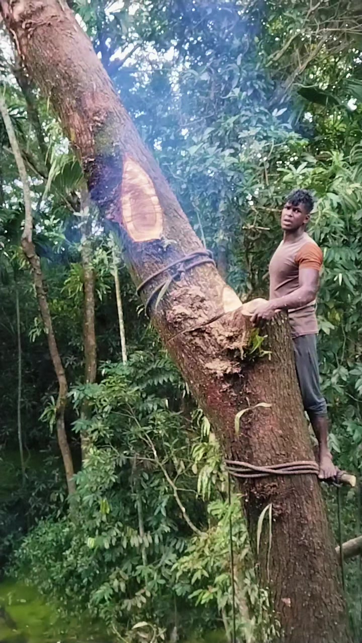 @যশোরের পোলা