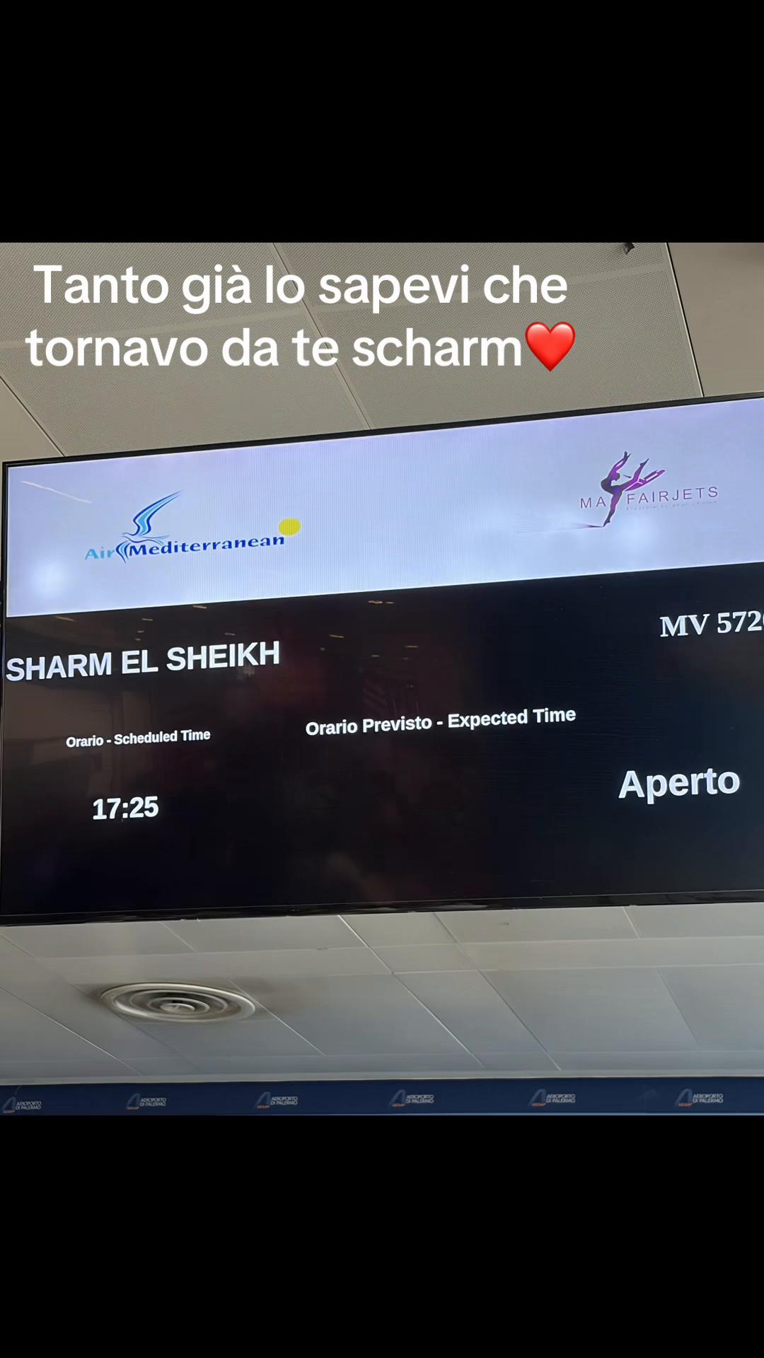 @Maria Tiscione