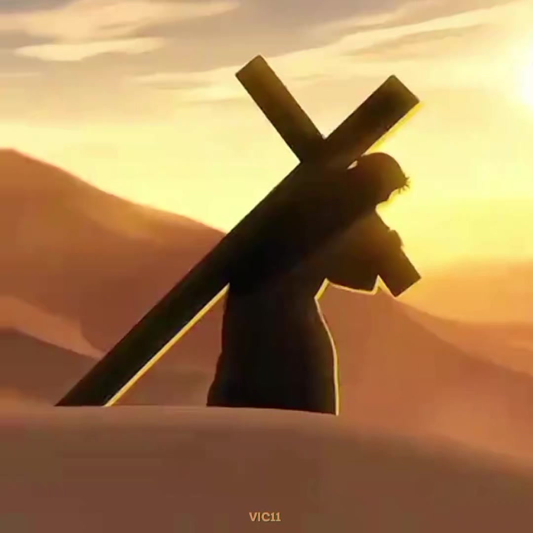 @๐๐ | ๐๐๐๐๐ โ๏ธ