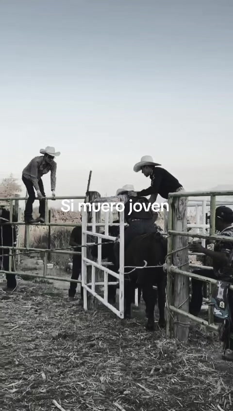 @Emilio Alvarez