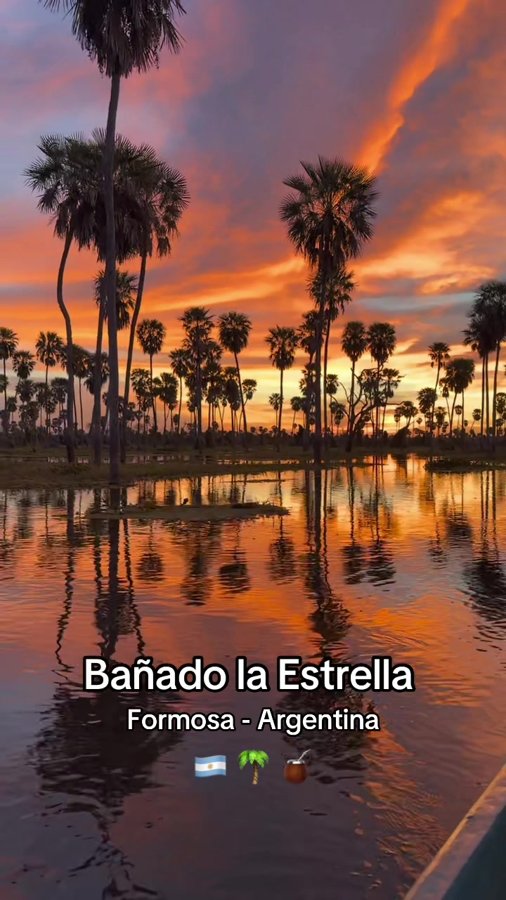 @modo.avion891