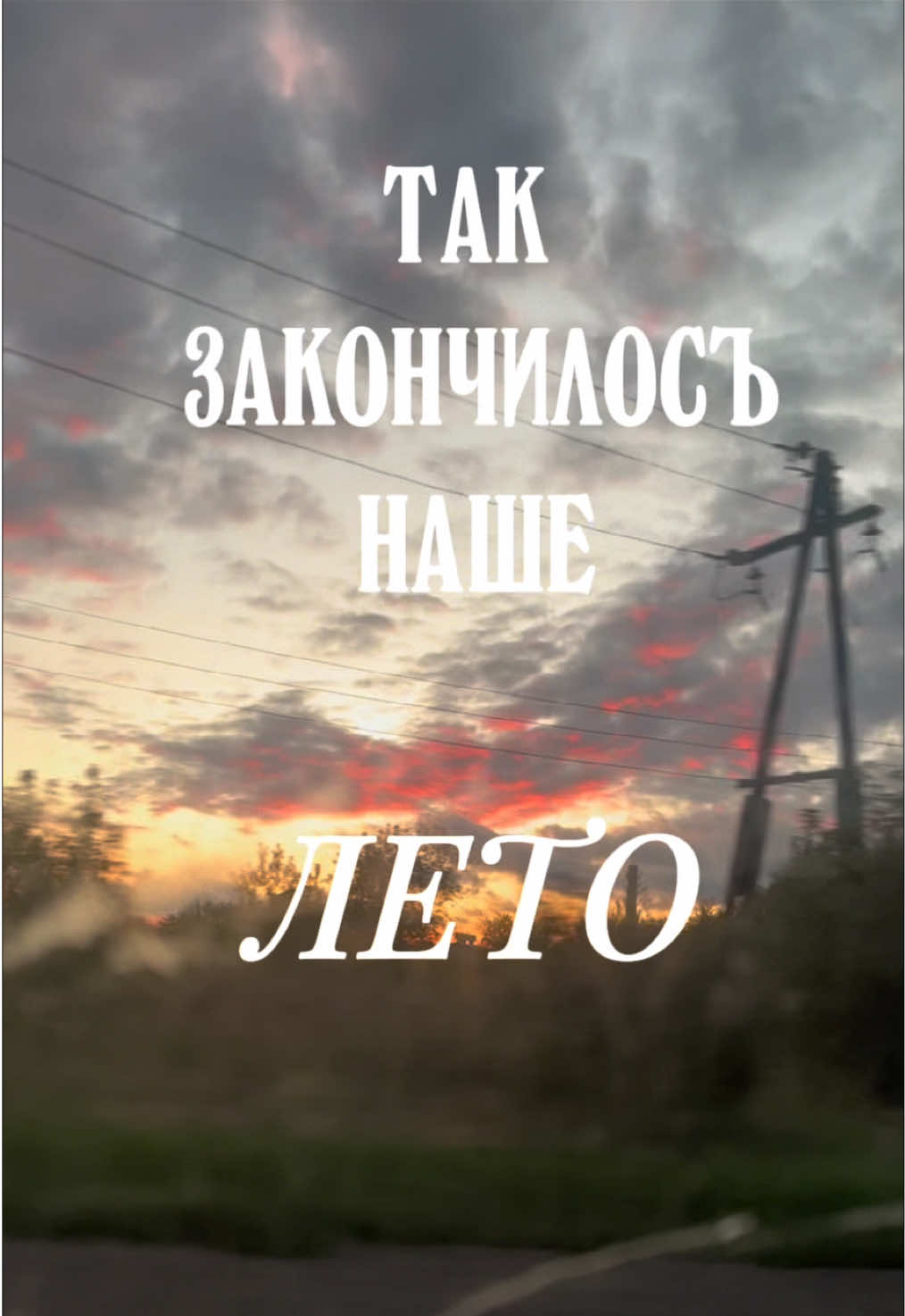 @тгк:Мартышка🐒