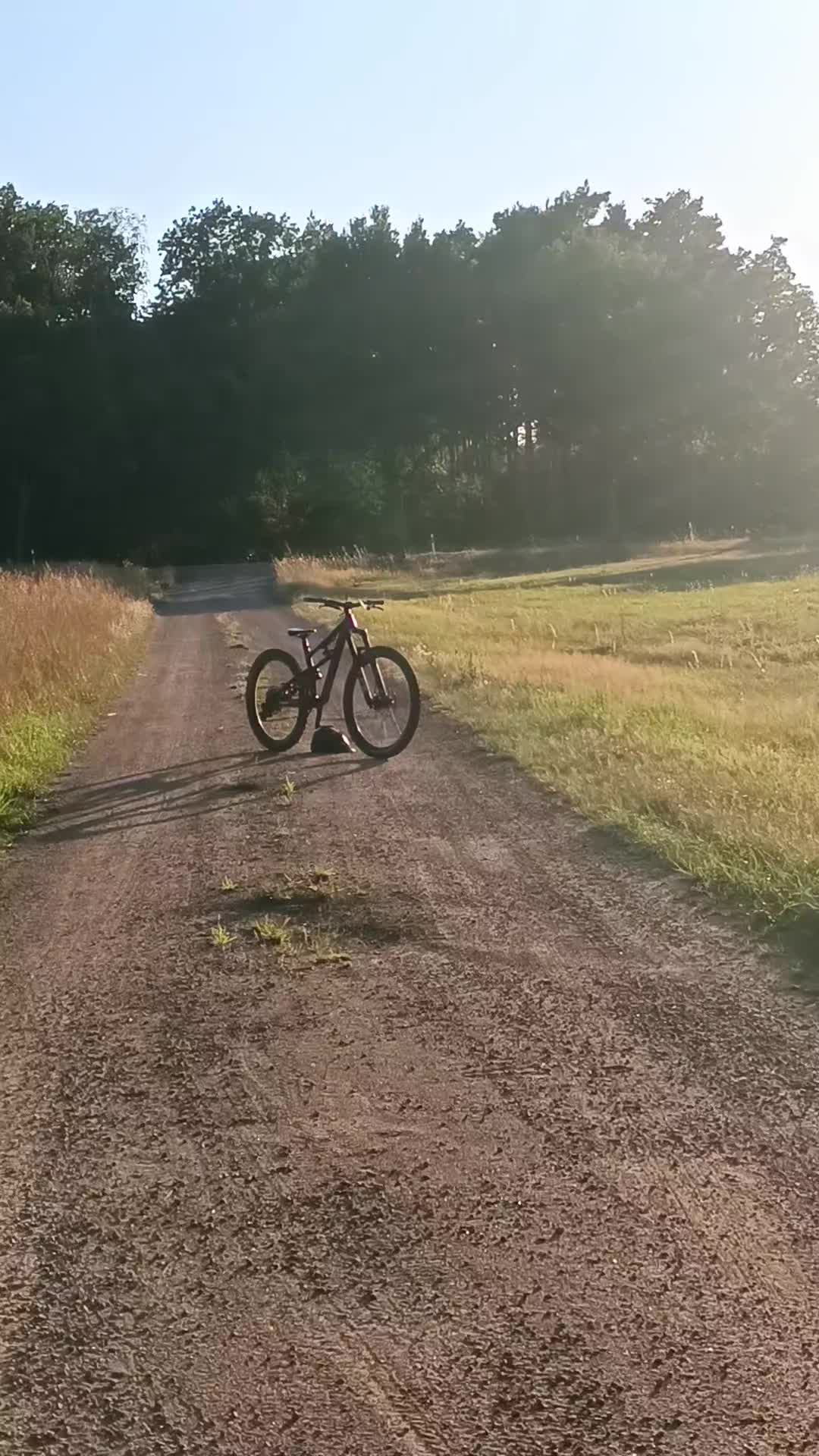@🌲Freeride_Finn🌲