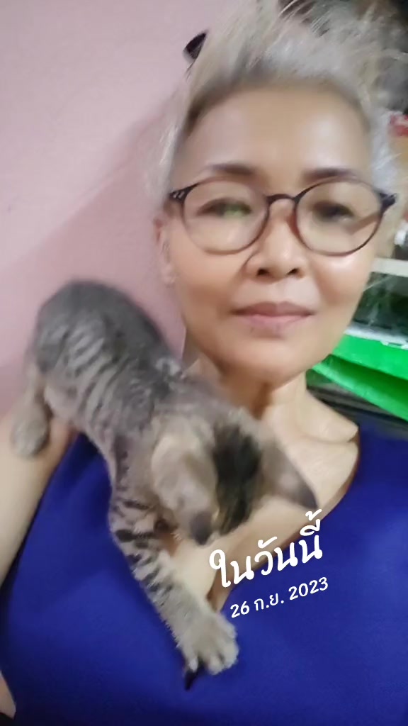 @wanwanphokhom