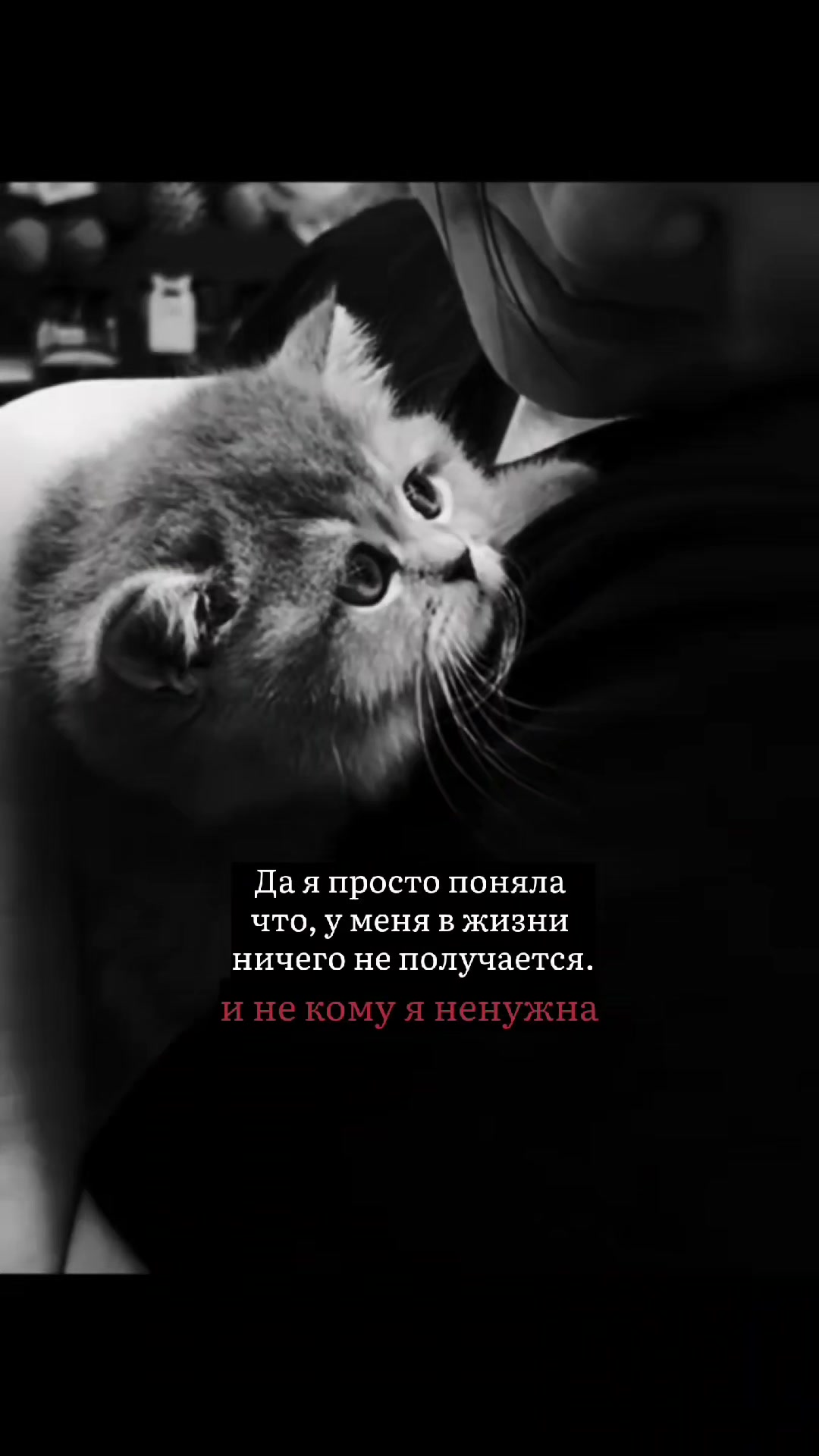 @В_и_к_у_с_я