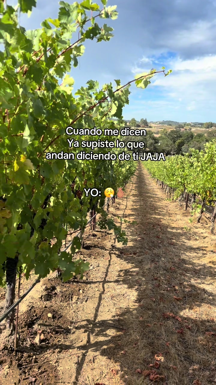 @Sandra Santiago
