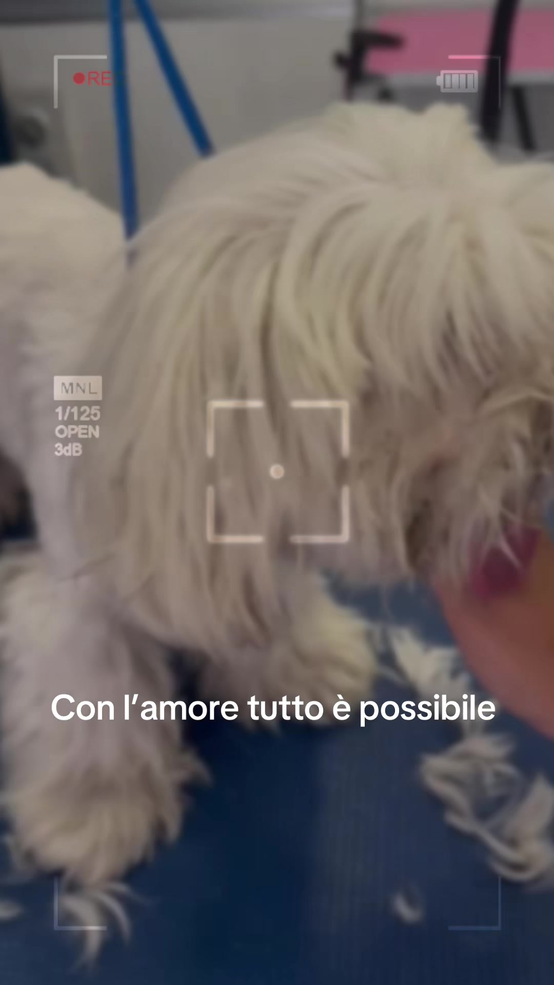 @Il bagnetto da Cici