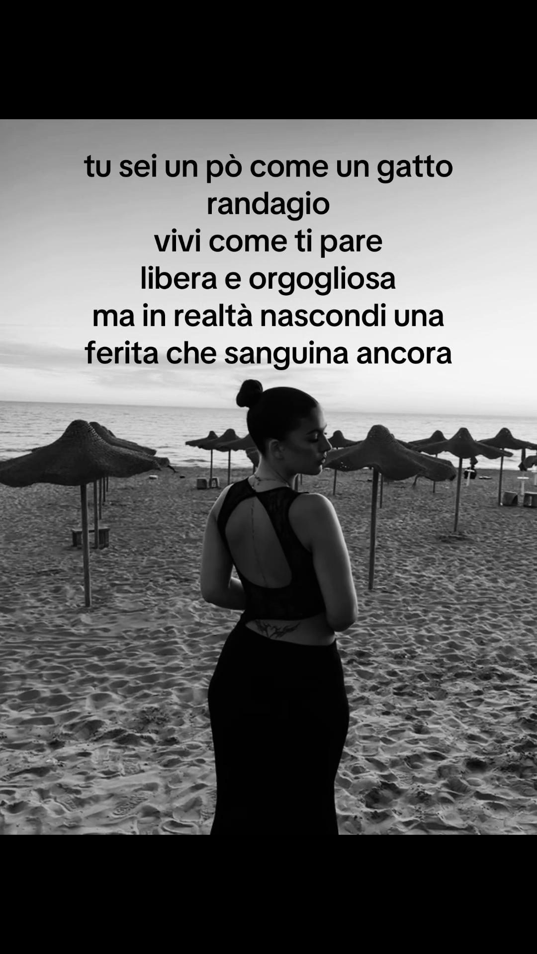 @terrycorvino