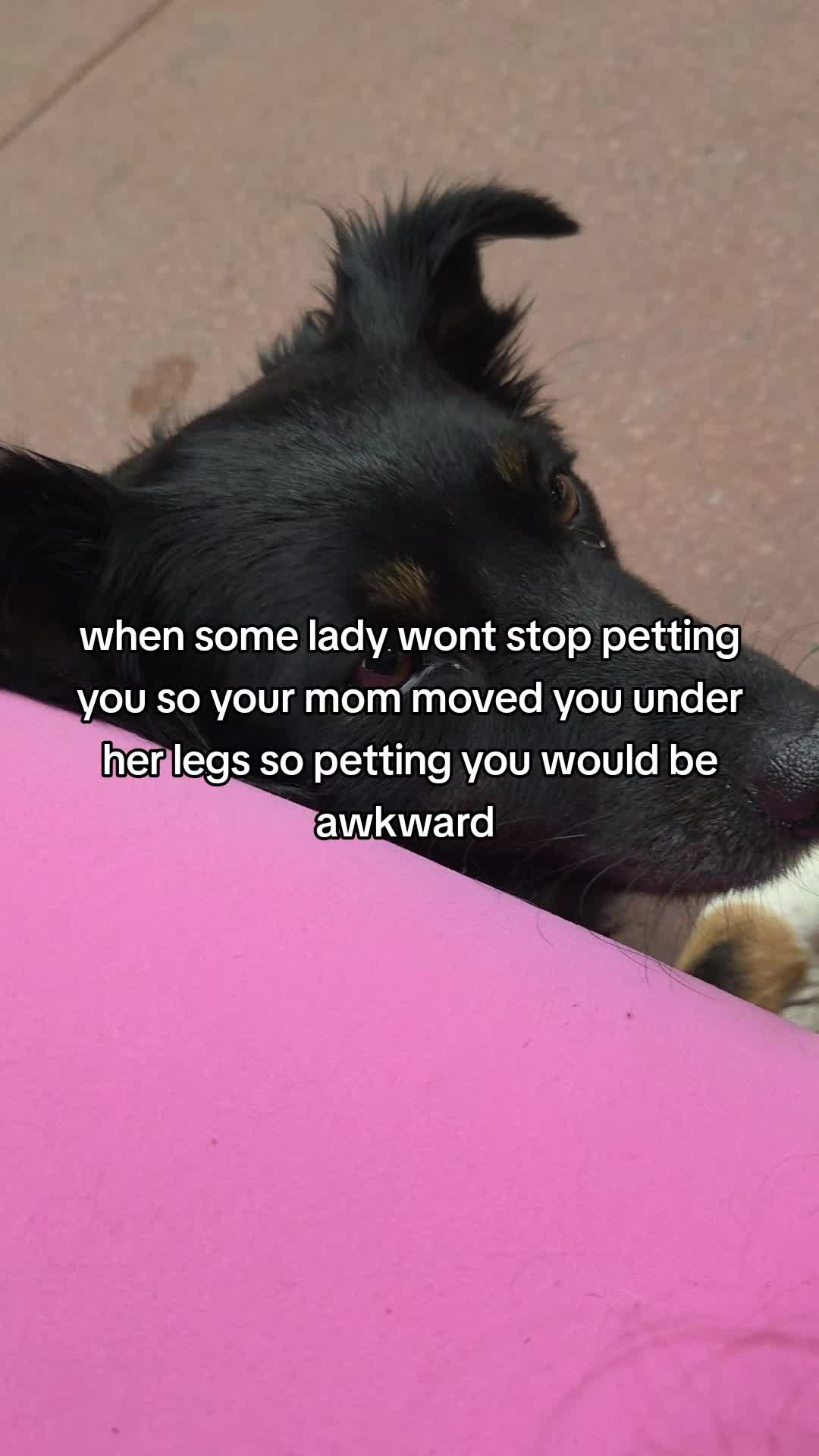 @Nala the Service aussie
