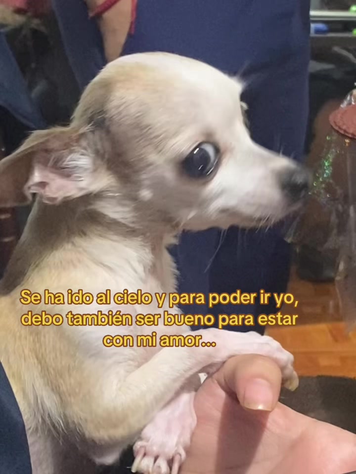 @Ale M🫐