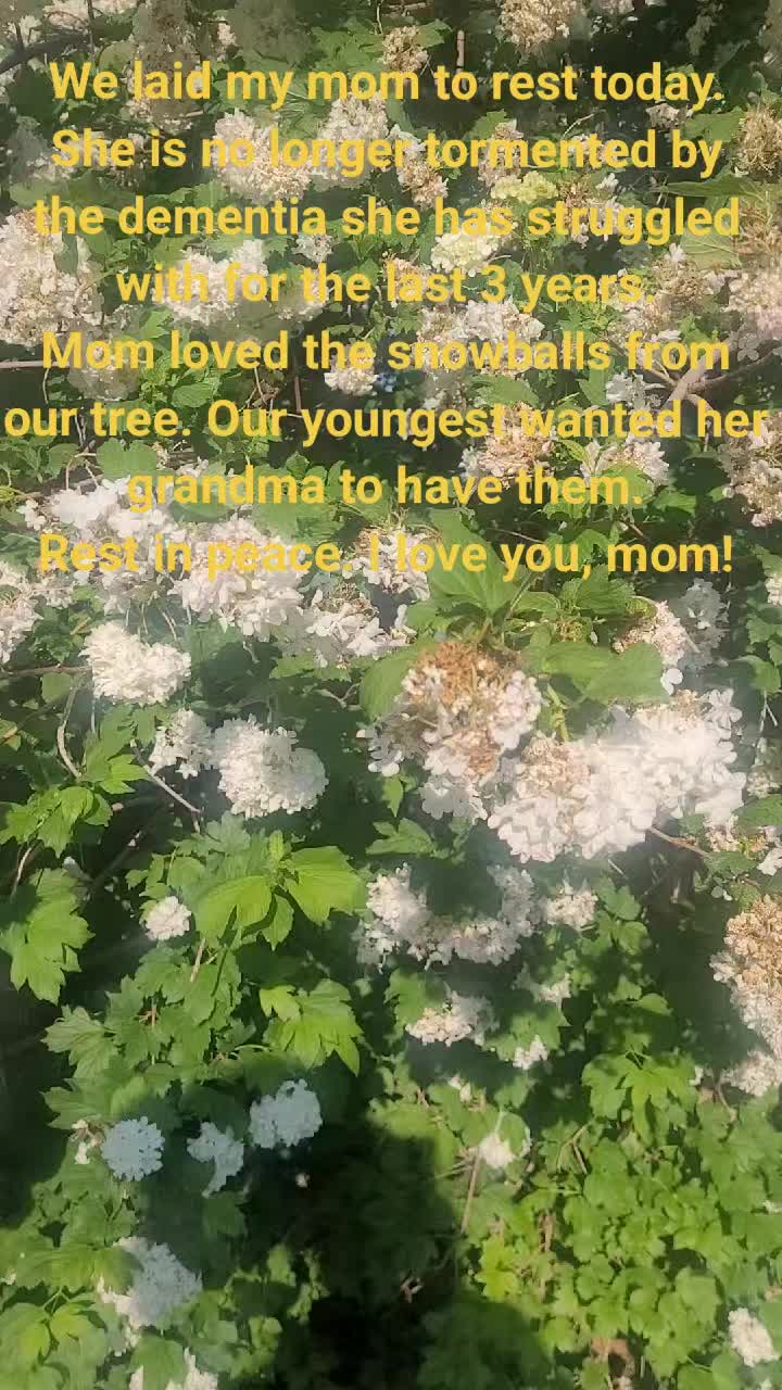 @Martyeam