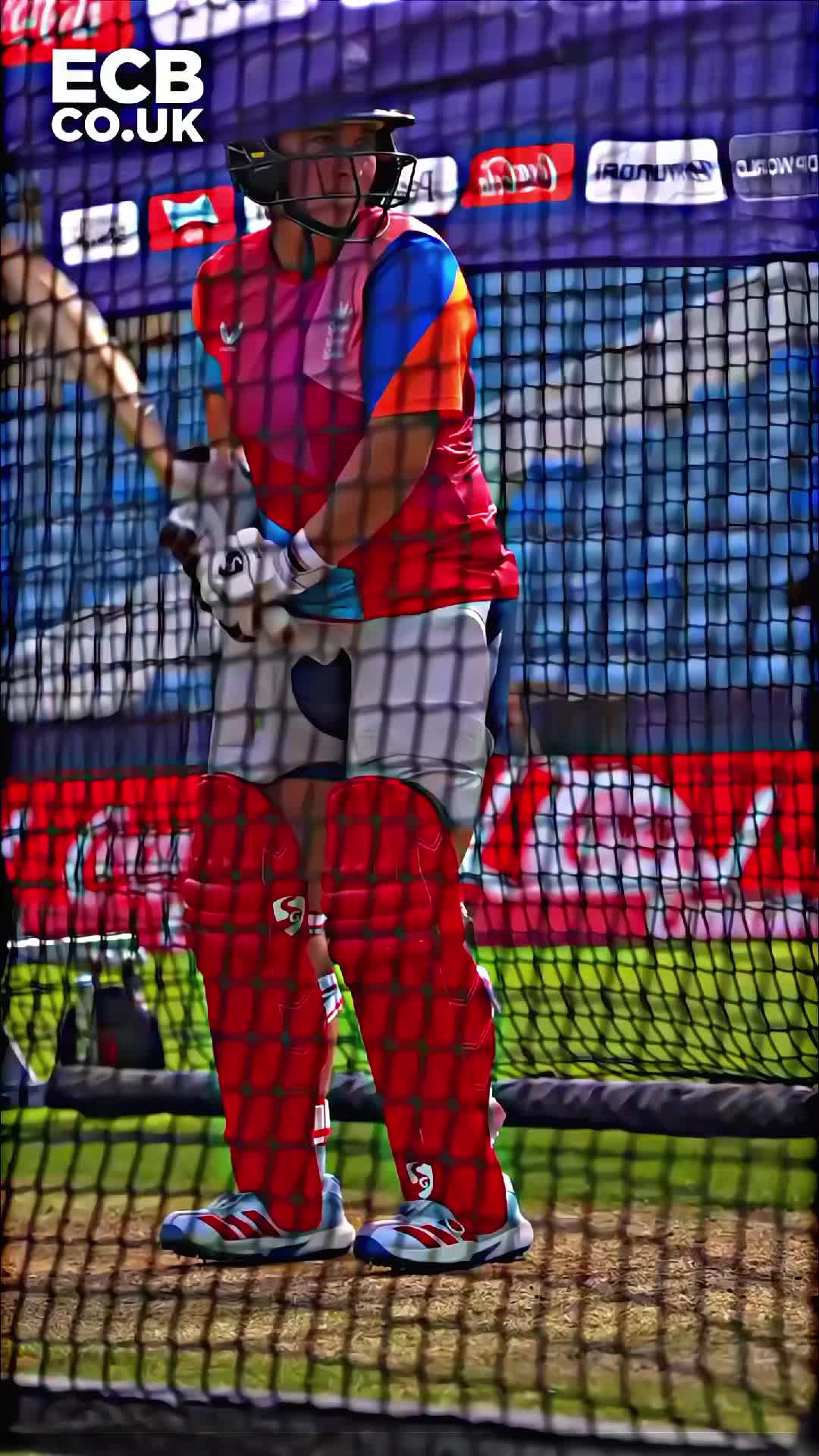 @Ellyse perry