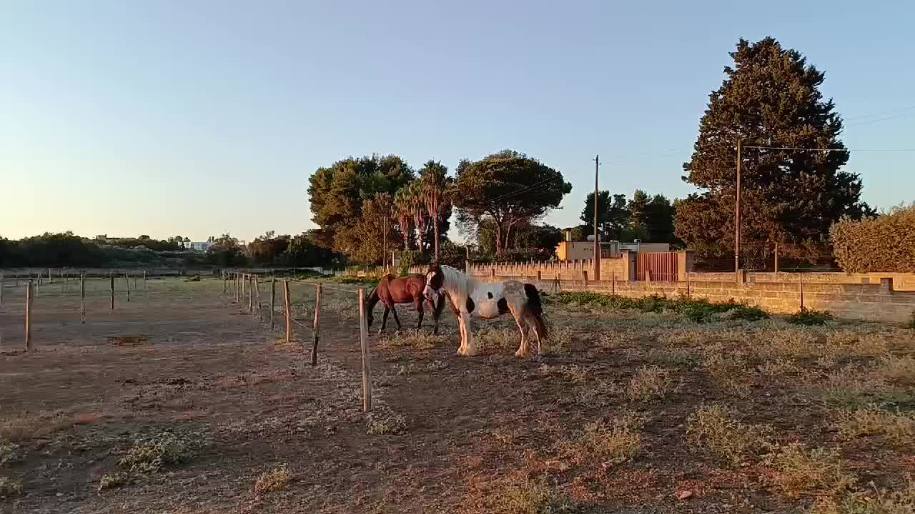 @GypsyHorse
