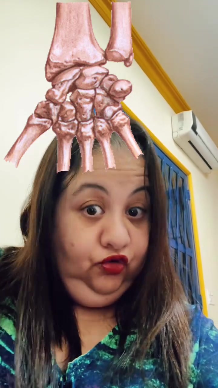 @anatomia virtual