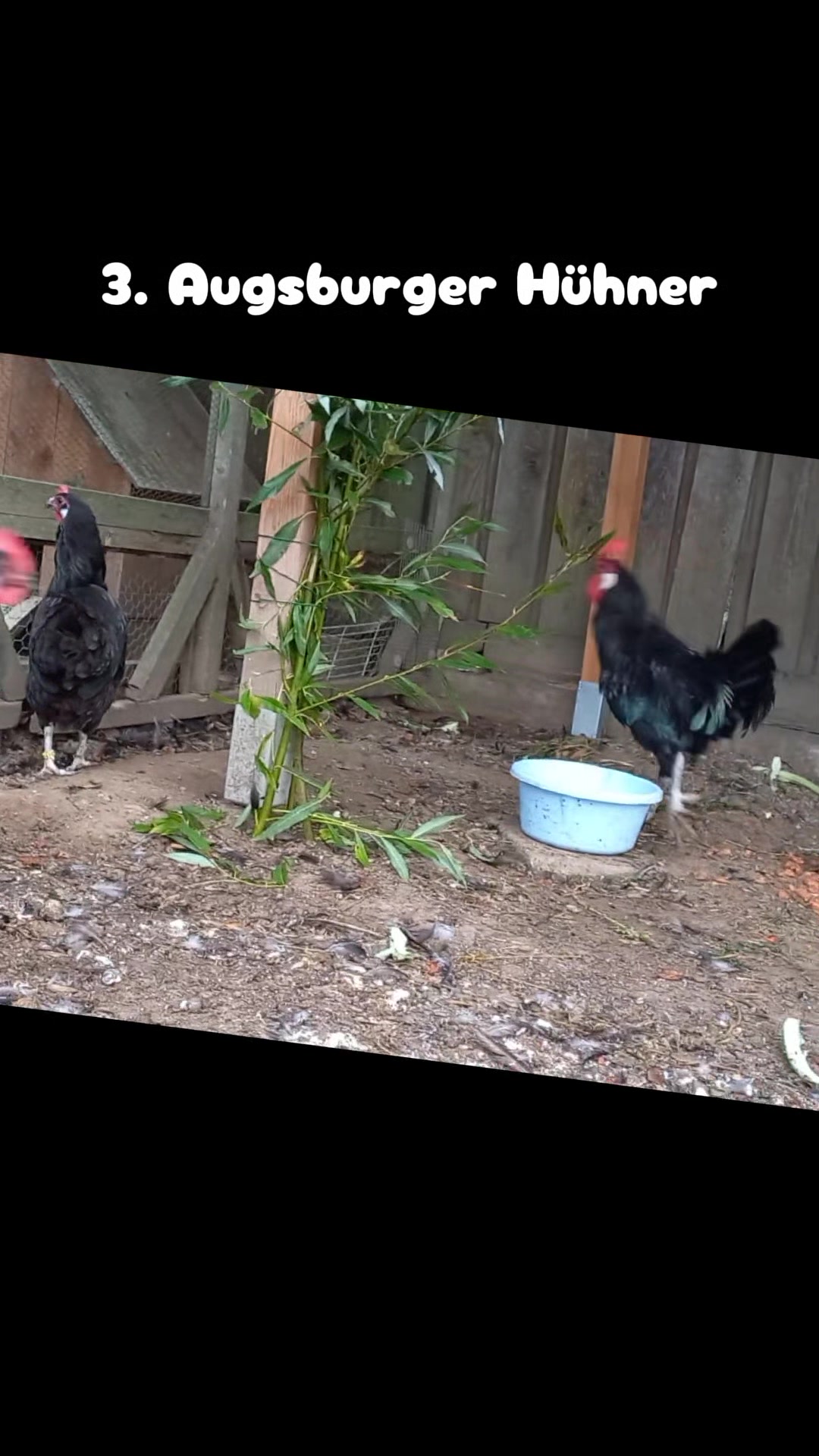 @🦚🆃𝓲𝓮𝓻🅿𝓪𝓻𝓴🆃𝓸𝓴🦚