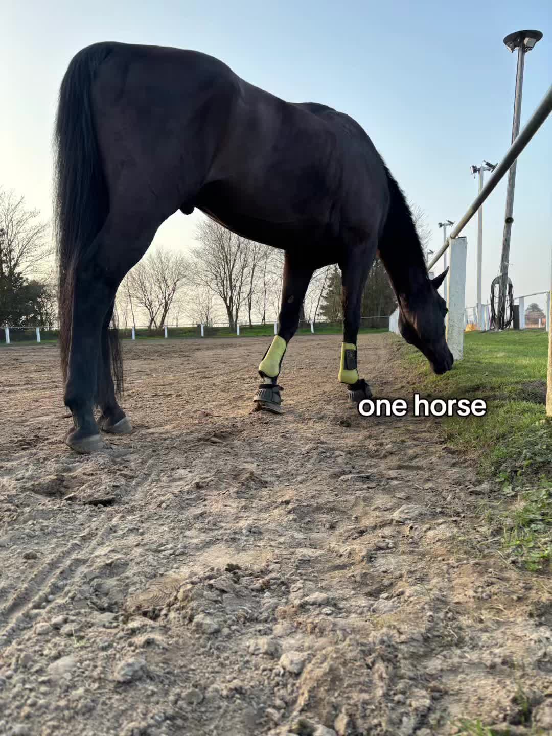 @leonie.0605