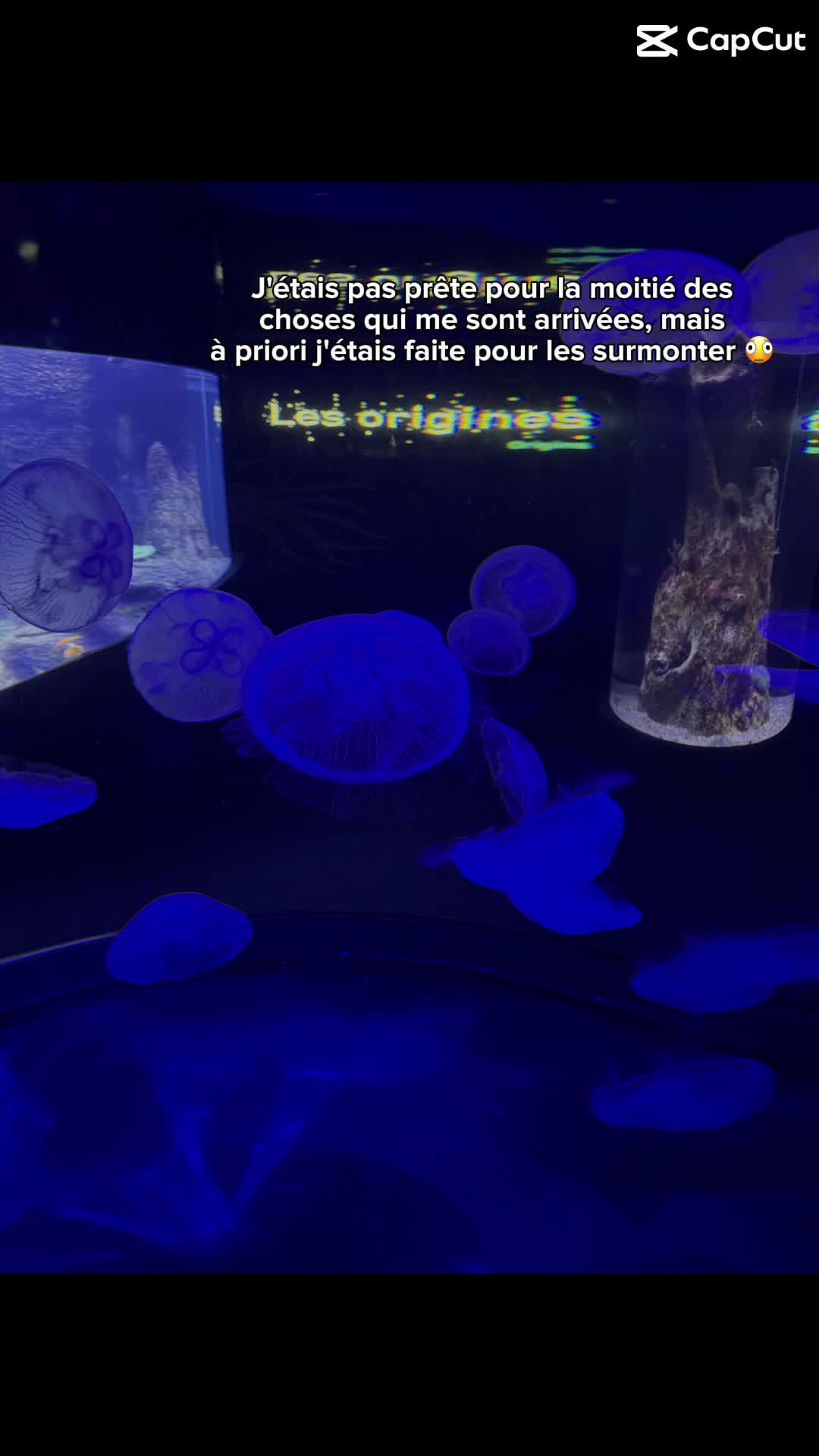 @ℒ𝒪𝒰’🦢