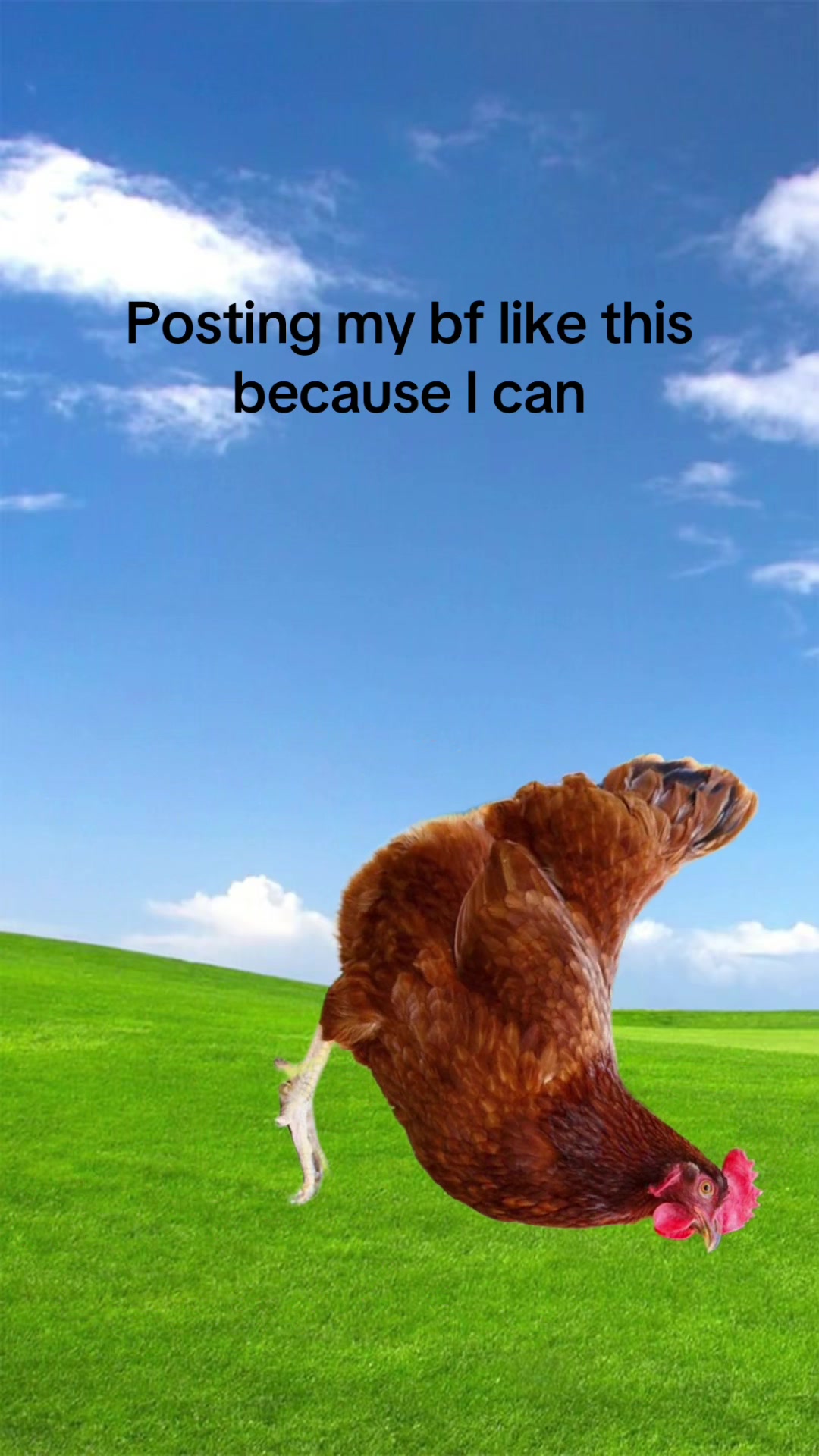 @ꪖ᭢ȶꫝꪮ᭢ꪗ