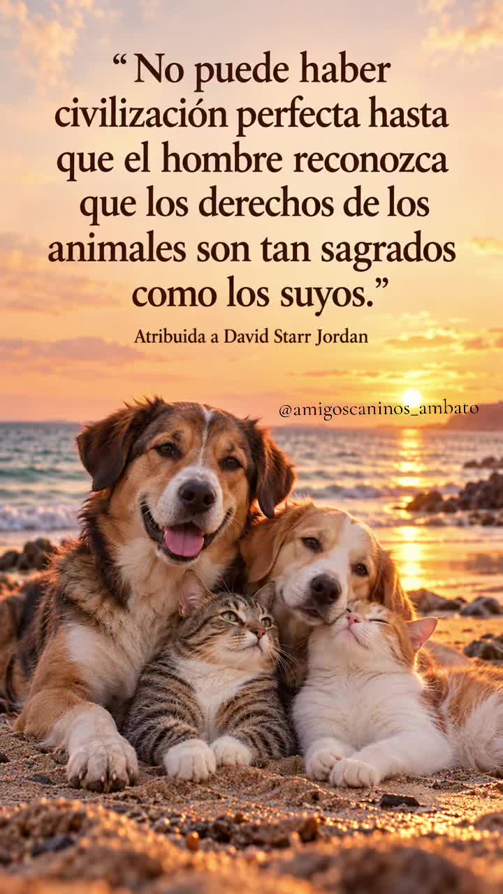 @Amigoscaninos_Ambato