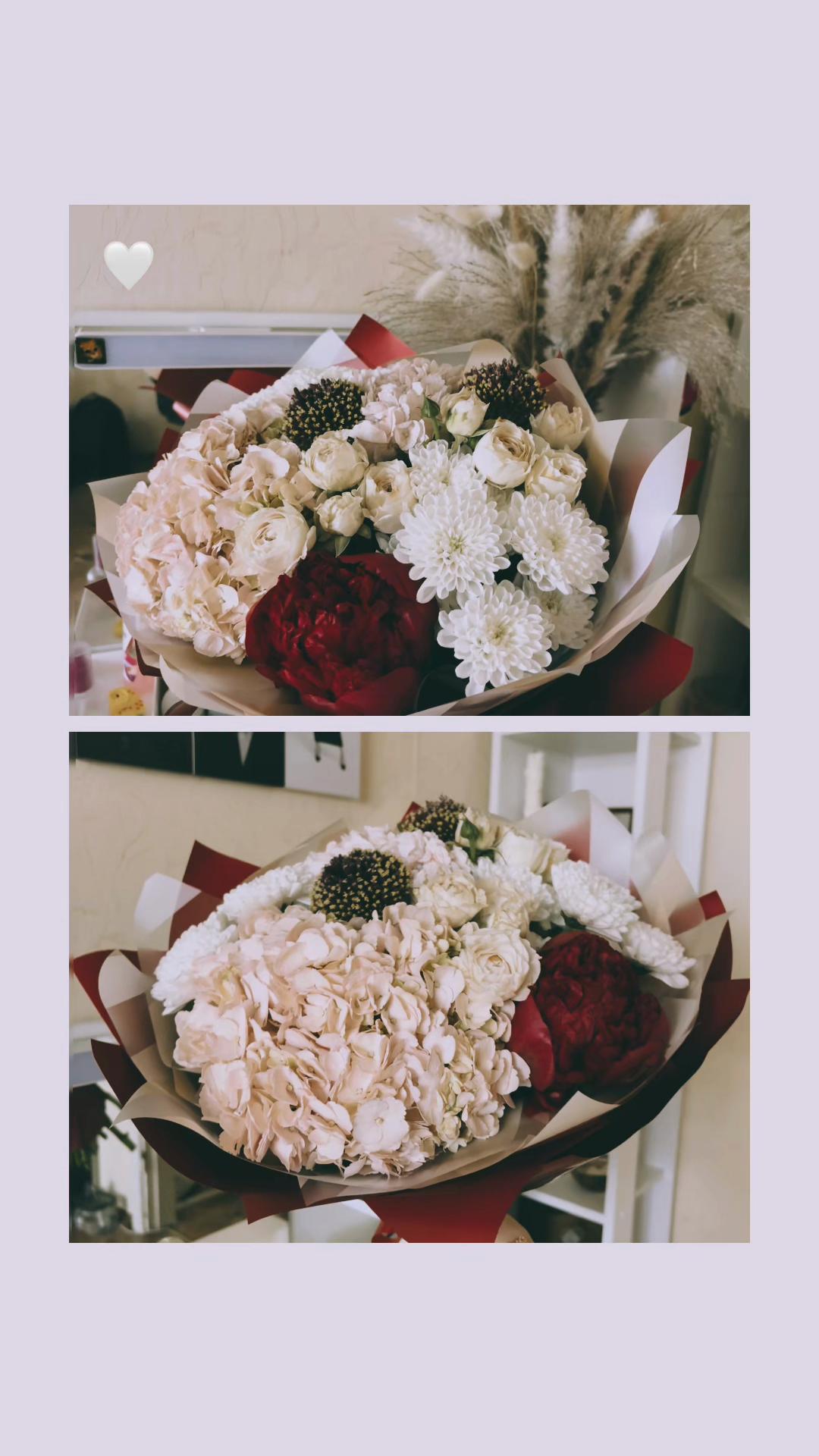 @๐ฏ๐พ๐๐ถ๐ฝโด๐๐๐๐ถ๐๐ถ๐