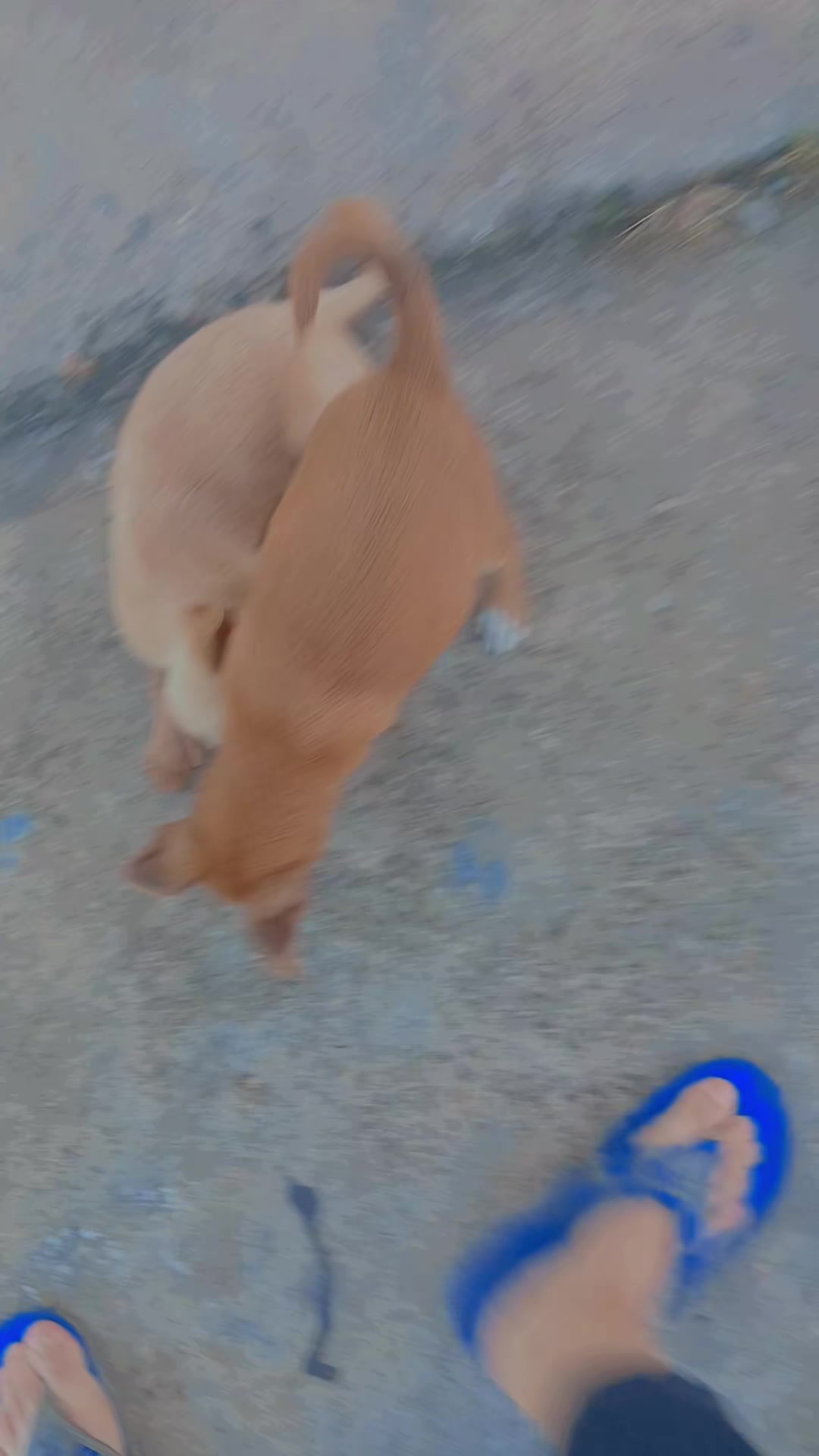 @.,