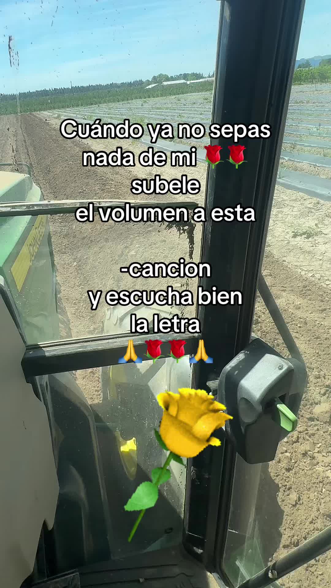 @pablocarbajal63