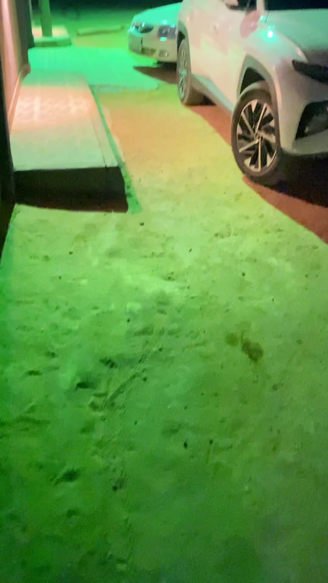 @مجيد الحطماني