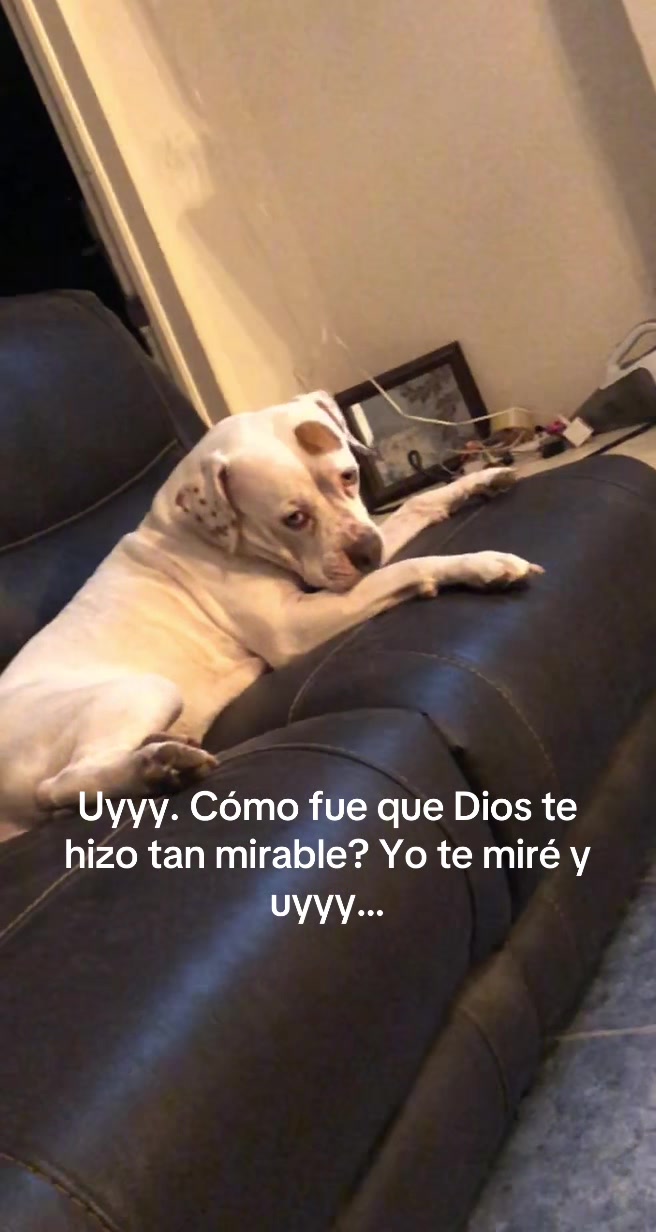 @Curvaspeligrosas33