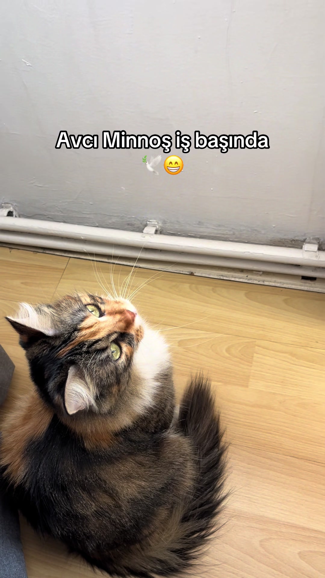 @konusankediminnos