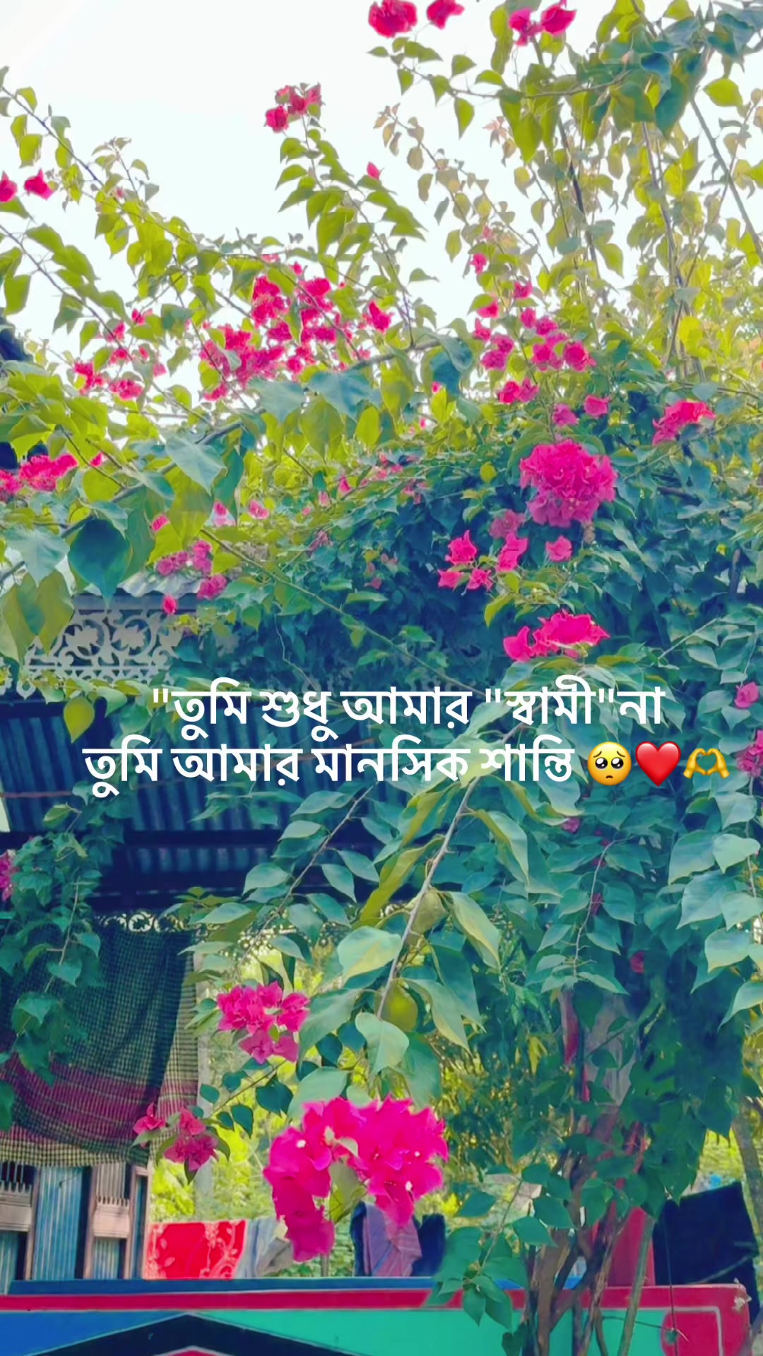 @Dalim❤️Soya