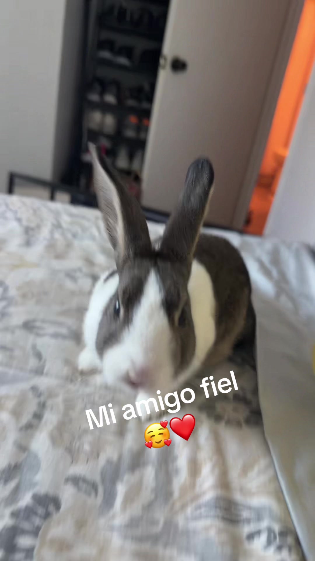 @Angie🥰