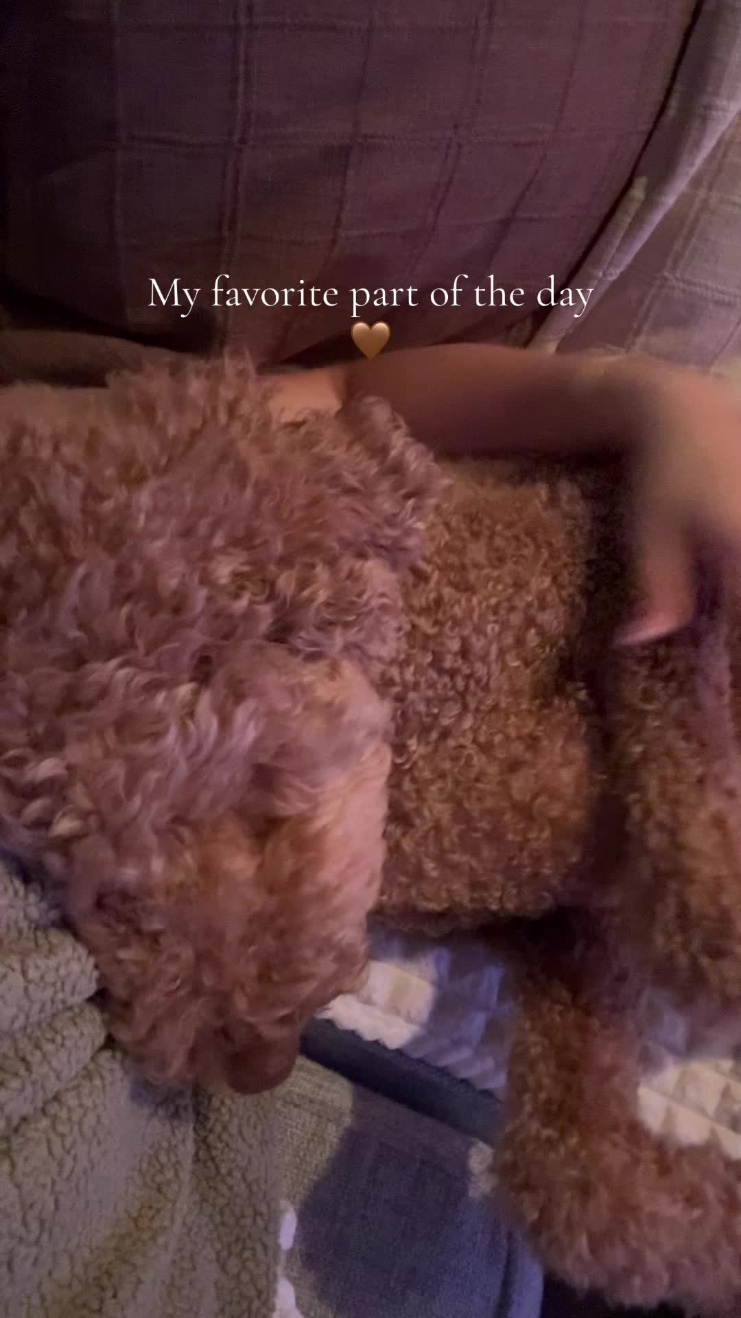 @Gigi