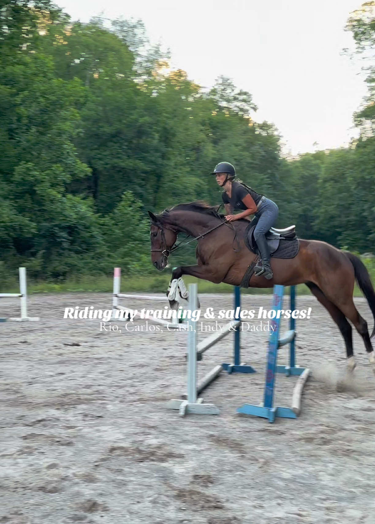 @Lunar Hill Equestrian