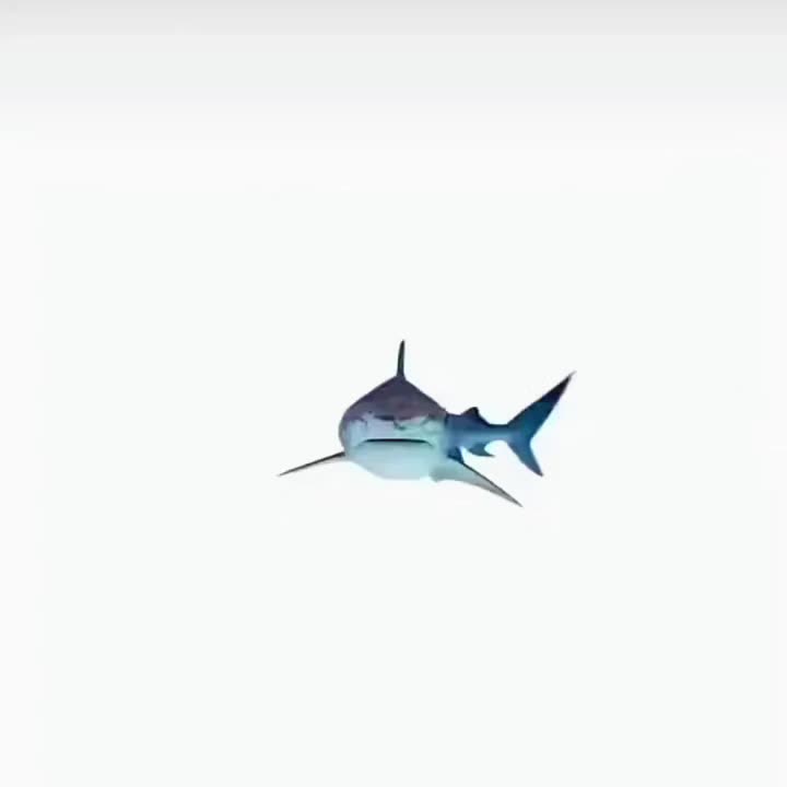 @✯𝓥𝓐𝓜𝓟 ✯