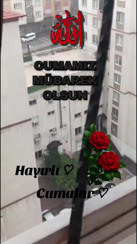 @🇹🇷҉͜͡✭DAMLA🦂GÜL🇦🇿҉͜͡✭