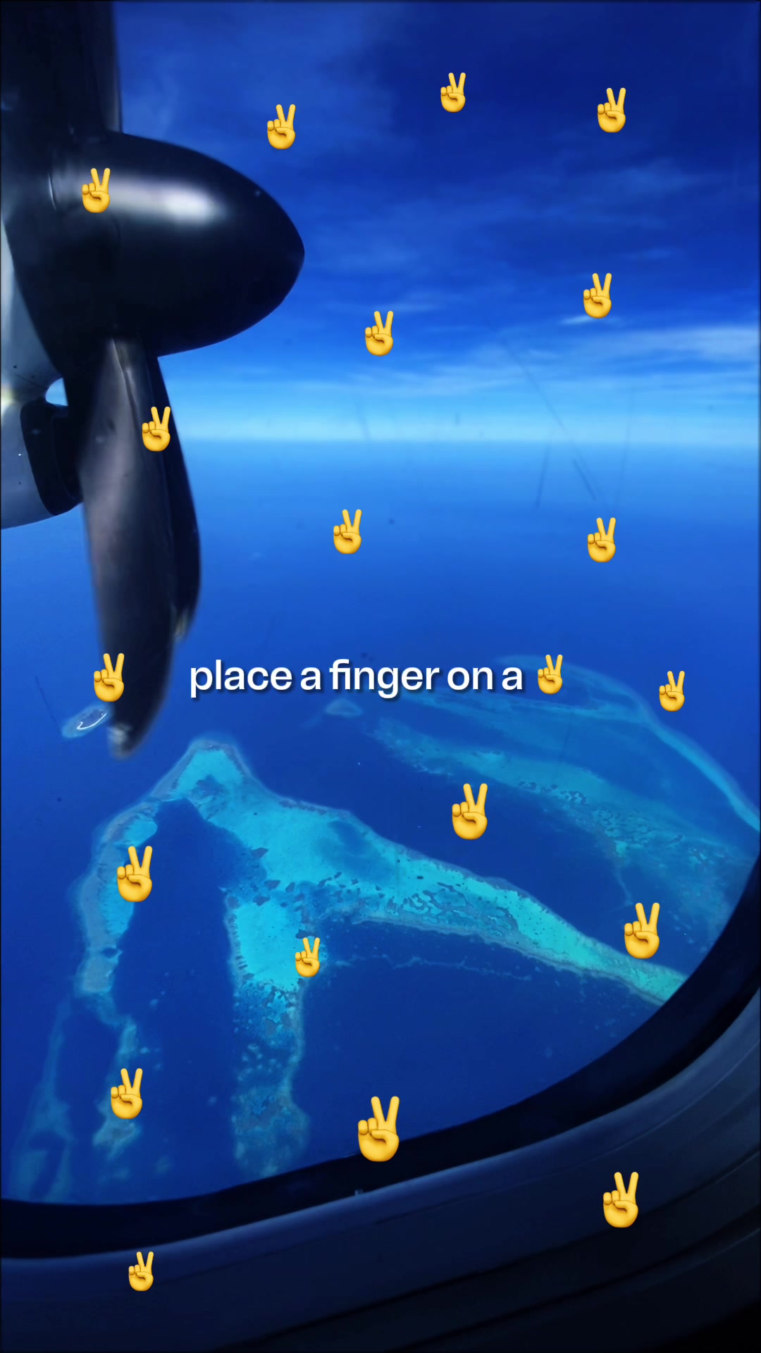 @Fly Fairly