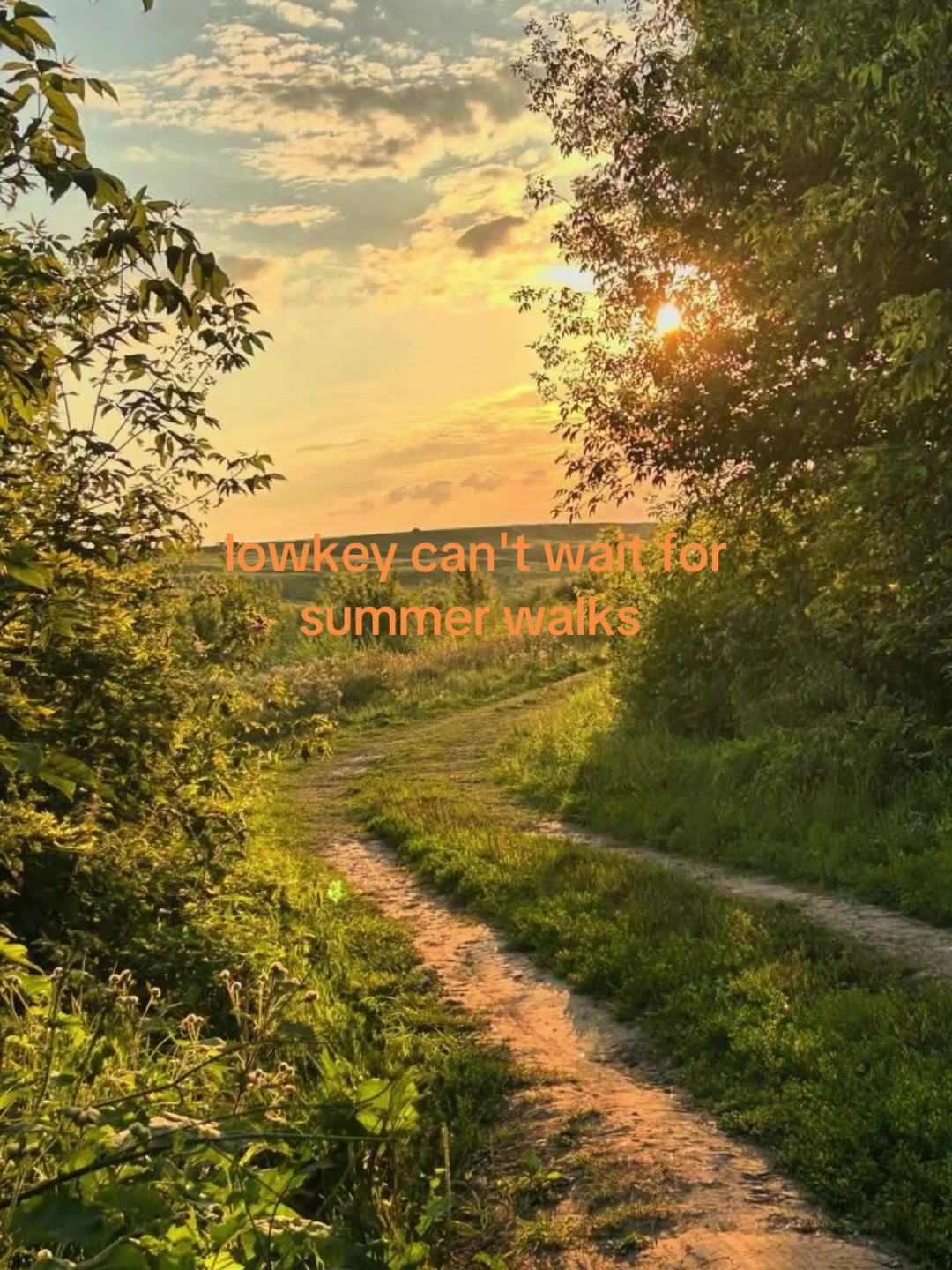 @al1n4xa